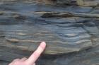 Alternations of silt, sand and mud with climbing ripples that accumulated just above wave base. Base of cliffed amphitheatre on south side of Trusklieve wave eroded cliff margin (Andy Pulham personal communication and Martinsen et al., 2008). Section part of Tullig Formation Upper Carboniferous or Namurian age delta front.