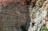 Bone Spring Limestone carbonate fill of slope channel cut into a carbonate basin margin exposed in Schumard Canyon just below the West Face of Guadalupe Mountains, north of the Williams Ranch. Note intersecting erosional surfaces of the Bone Spring Carbonate. This is part of complex mix of Bone Spring Formation unstable carbonate and clastics shed from basin margin bypassing into deeper basin of Bone Spring. These rocks are overlain by Cut Off Formation