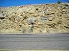 Radar conglomerate composed of mixed fragments of the Capitan Limestone margin exposed in the Guadalupe Mountains at the onset of a sealevel low and clastics. The carbonate basin margin slope of Permian Delaware Basin of West Texas was unstable and shed carbonate conglomerates and debris flows into the deeper proximal basin.