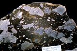 Radar conglomerate composed of mixed fragments of the Capitan Limestone margin exposed in the Guadalupe Mountains at the onset of a sealevel low and clastics. The carbonate basin margin slope of Permian Delaware Basin of West Texas was unstable and shed carbonate conglomerates and debris flows into the deeper proximal basin.