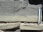 Larmar limestones at toe of slope of Capitan Limeston margin. Setting expressed by varve like organic-rich interbedded with siltier limestones. By pass fill of basin during highstands in sea level. Hwy 62-180 west of New Mexico West Texas border.