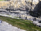 Shannon estuary coast just SE of Loop Head Co Clare at Kilbaha Bay. exposing erosion and fill of channel by shales and sands. Note above the amalgamated channelled sheet sands of mid fan.