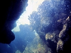 Eniwetok Reef Groove