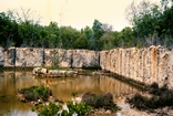 Windley Key Quarry Pleistocene