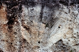 Windley Key Quarry Pleistocene