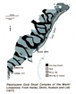 Miami Oolite Pleistocene Florida