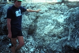 Miami Oolite Pleistocene Florida