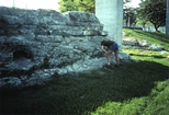 Miami Oolite Pleistocene Florida