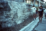 Miami Oolite Pleistocene Florida