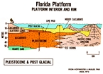 X Section Florida