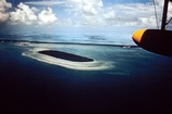 Rodriguez Key Reef habitat