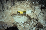 Cyanobacterial Mat Crane Key Florida Bay