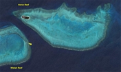 Heron Island Reef