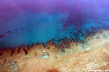 Heron Island Reef