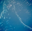 North End Great Barrier Reef; photographic image from outer space by NASA