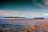 Heron Island Reef