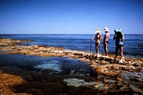 Heron Island Reef