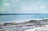 Beach Rock Heron Island Reef