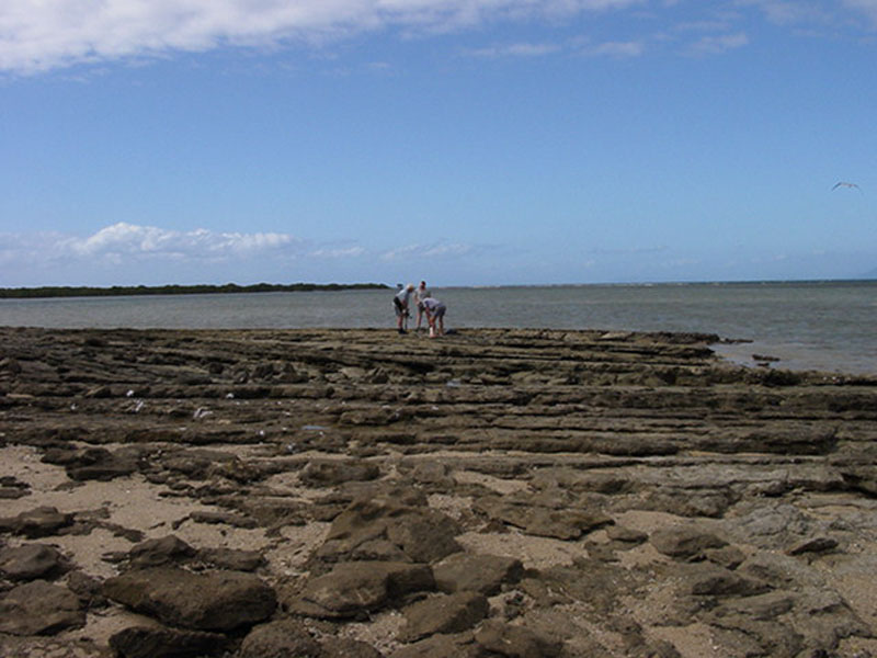 Tide Chart Satellite Beach