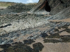 Booley Bay Nr Duncannon Hook Head Late Cambrian