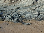 Booley Bay near Duncannon on the north west coast of Hook Head Zircon Sample Location Late Cambrian Booley Bay Formation slope sands and shales that accumulated below wave base