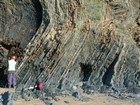 Booley Bay near Duncannon on the north west coast of Hook Head Late Cambrian Booley Bay Formation slope sands and shales that accumulated below wave base