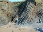 Booley Bay near Duncannon on the north west coast of Hook Head Late Cambrian Booley Bay Formation slope sands and shales that accumulated below wave base