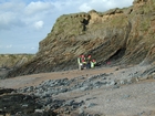 Booley Bay near Duncannon on the north west coast of Hook Head Late Cambrian Booley Bay Formation slope sands and shales that accumulated below wave base