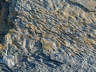 Rippled sands and shales formed by currents below wave base on basin margin slopes exposed in the Late Cambrian Booley Bay Formation; Booley Bay near Duncannon on the north west coast of Hook Head