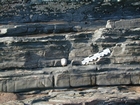 Rippled sands and shales formed by currents below wave base on basin margin slopes exposed in the Late Cambrian Booley Bay Formation; Booley Bay near Duncannon on the north west coast of Hook Head