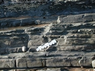 Rippled sands and shales formed by currents below wave base on basin margin slopes exposed in the Late Cambrian Booley Bay Formation; Booley Bay near Duncannon on the north west coast of Hook Head