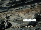 Rippled sands and shales formed by currents below wave base on basin margin slopes exposed in the Late Cambrian Booley Bay Formation; Booley Bay near Duncannon on the north west coast of Hook Head