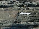 Rippled sands and shales formed by currents below wave base on basin margin slopes exposed in the Late Cambrian Booley Bay Formation; Booley Bay near Duncannon on the north west coast of Hook Head