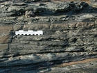 Rippled sands and shales formed by currents below wave base on basin margin slopes exposed in the Late Cambrian Booley Bay Formation; Booley Bay near Duncannon on the north west coast of Hook Head