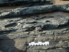 Rippled sands and shales formed by currents below wave base on basin margin slopes exposed in the Late Cambrian Booley Bay Formation; Booley Bay near Duncannon on the north west coast of Hook Head