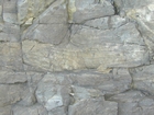 West Hook Head Co Wexford Lower Carboniferous Dolimitic Grainstones