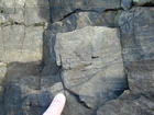 West Hook Head Co Wexford Lower Carboniferous Dolimitic Grainstones