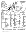 Ordovician Sections Eire