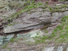 Harry Lock Formation Devonian Braided Stream Fill Sandeel Bay Hook Head