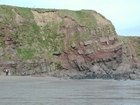 Harry Lock Formation Devonian Braided Stream Fill Sandeel Bay Hook Head