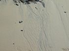 Lumsdin's Bay Hook Head