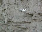 North Lumsdin's Bay Hook Head marginal marine cross bedded sands Carboniferous Porter's Gate Formation