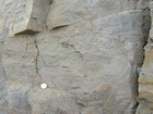 North Lumsdin's Bay Hook Head marginal marine cross bedded sands Carboniferous Porter's Gate Formation