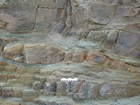 North Lumsdin's Bay Hook Head cut and fill back barrier or shallow shelf (?) Carboniferous Porter's Gate Formation