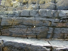 North Lumsdin's Bay Hook Head wave rippled Carboniferous Porter's Gate Formation