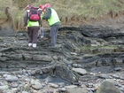 South Lumsdin's Bay Hook Head Variscan Monocline Carboniferous Porter's Gate Formation