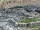 South Lumsdin's Bay Hook Head Variscan Monocline Carboniferous Porter's Gate Formation