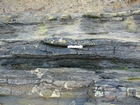 South Lumsdin's Bay Hook Head wave ripples and small channel/or wave scours Carboniferous Porter's Gate Formation