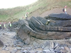 South Lumsdin's Bay Hook Head Variscan Monocline Carboniferous Porter's Gate Formation