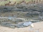 South Lumsdin's Bay Hook Head Carboniferous Porter's Gate Formation